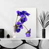 Canvas Print Botanical Blue Pansies 30x40 cm