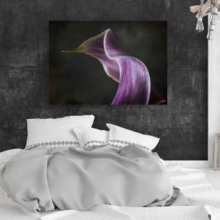 Canvas Print Botany Flower Purple Petal 40x30 cm