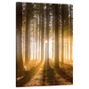 Canvas Print Sun in the Forest Light Tree 80x120 cm