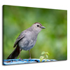 Canvas Print Animals Sitting Bird 100x80 cm