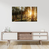 Canvas Print Birch Trees Sun Morning 120x40 cm