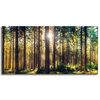 Canvas Print Forest Sun Trees Spring Morning 120x60 cm