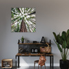 Canvas Print Trees Sky Nature Nature Art 90X90 cm