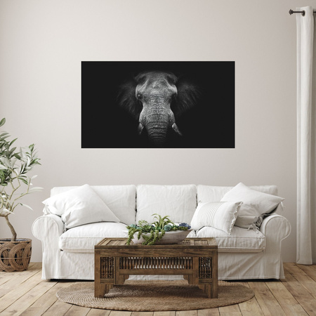 Canvas Print Gray Elephant Face Trunk Tusks 100x80 cm
