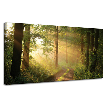 Canvas Print Sunlight Forest Path Nature 120x60 cm