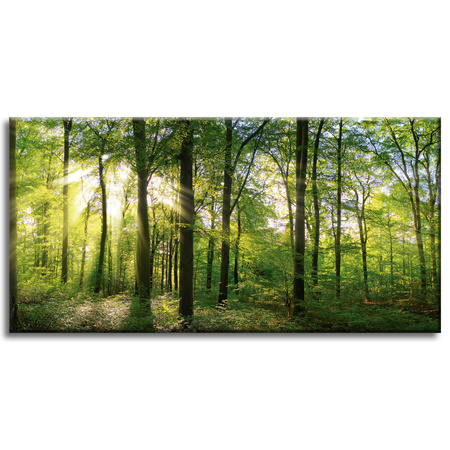Canvas Print Sun Forest Trees Rays of Light 80x40 cm
