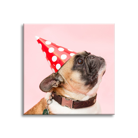 Canvas Print Youth Birthday Pug 90x90