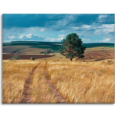 Canvas Print Grain Field Nature Clouds Landscape 100x80 cm