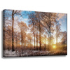Canvas Print Trees Winter Rising Sun 60x40 cm