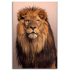 Canvas Print Lion Face Beauty Mane Hair 80x120 cm