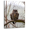 Canvas Print Animals Sleeping Owl 30x40 cm