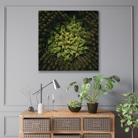 Canvas Print Nature Trees from a Bird's Eye View 90x90