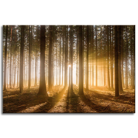 Canvas Print Sun Rays Forest Trees 60x40 cm