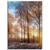 Canvas Print Trees Winter Rising Sun 50x70 cm