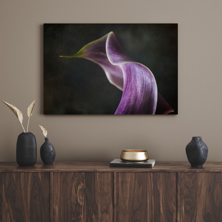 Canvas Print Botany Flower Purple Petal 40x30 cm