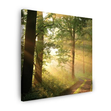 Canvas Print Sunlight Forest Path Nature 60X60 cm