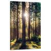 Canvas Print Forest Sun Trees Spring Morning 50x80 cm