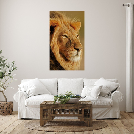 Canvas Print Lion in the Sunlight Face Nature 80x120 cm