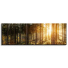 Canvas Print Birch Trees Sun Morning 120x40 cm