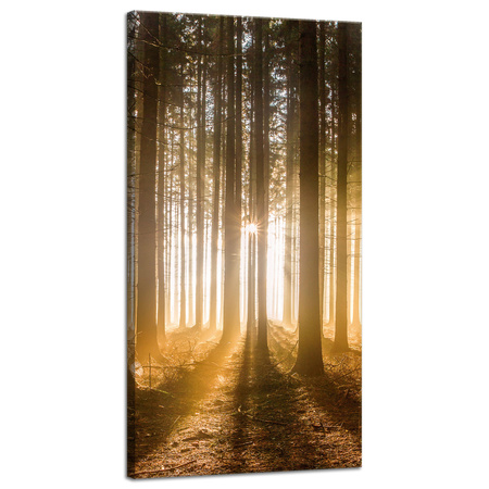 Canvas Print Sun in the Forest Light Tree 40x80 cm