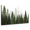Canvas Print Rain Forest Nature Trees 100x60 cm