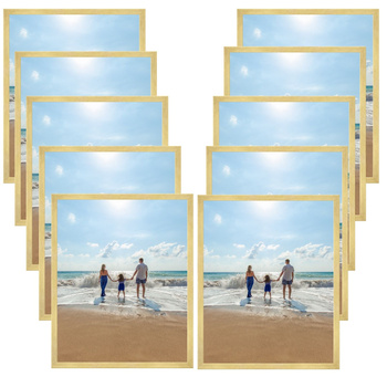 10x Gold Frame 40x50, I L13,15,045, Plexiglass