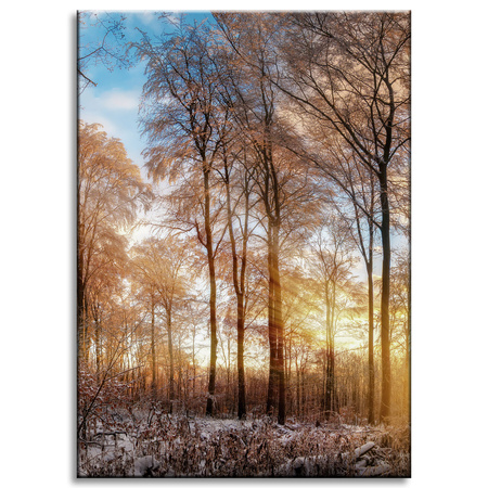 Canvas Print Trees Winter Rising Sun 50x70 cm