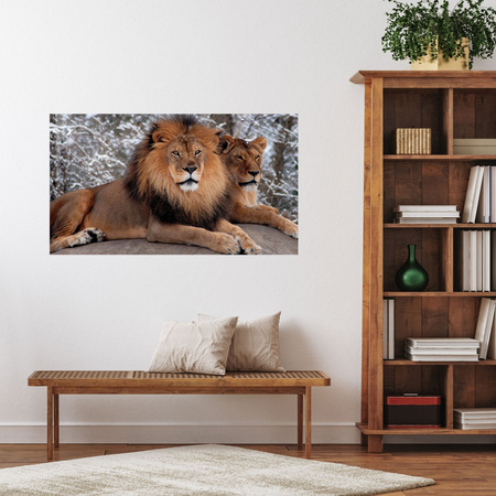 Canvas Print Pair of Lions Lying Nature 100x80 cm