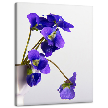 Canvas Print Botanical Blue Pansies 30x40 cm