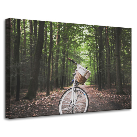 Canvas Print Youth Bike in the Forest 90x60