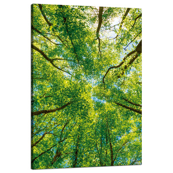 Canvas Print Trees Leaves Nature Forest Spring 80x120 cm