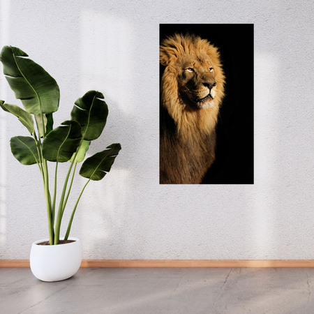 Canvas Print Illuminated Lion Beauty Mane 80x120 cm