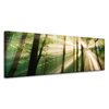 Canvas Print Sun in the Forest Trees Nature 120x40 cm