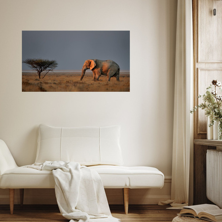 Canvas Print Elephant Savannah Africa Sky Grass 100x80 cm