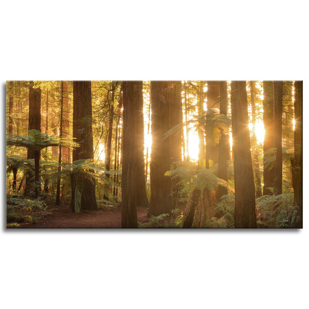 Canvas Print Sun Rays Forest Trees 120x60 cm