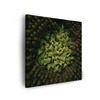 Canvas Print Nature Trees from a Bird's Eye View 90x90