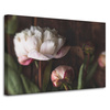 Canvas Print White Flower Nature Vintage Retro 90x60