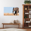 Canvas Print Gray Large Elephant with Trunk Savanna Warmth 100x80 cm