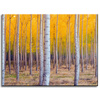 Canvas Print Birch Trees Autumn Yellow Leaves 40x30 cm