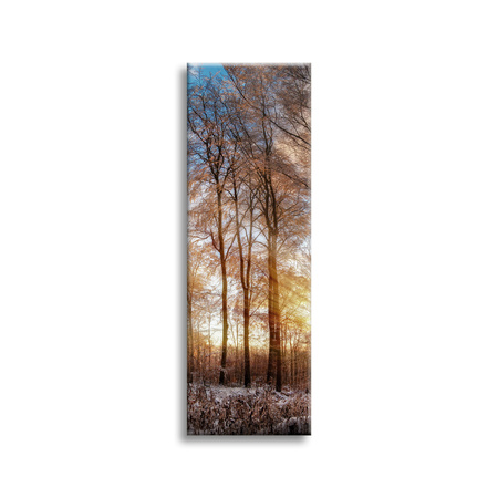 Canvas Print Trees Winter Rising Sun 40x120 cm