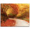 Canvas Print Path in Autumn Forest Colorful Leaves 100x80 cm
