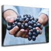 Canvas Print Kitchen Bunch of Grapes 40x30 cm