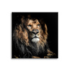 Canvas Print Adult Lion Animal 90x90