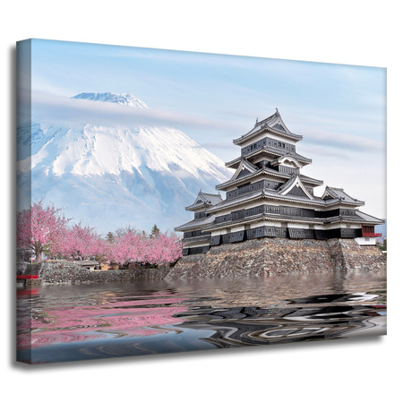 Canvas Print Nature Mount Fuji Japan 40X30 cm