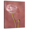 Canvas Print Botanical Pink Peony 30x40 cm