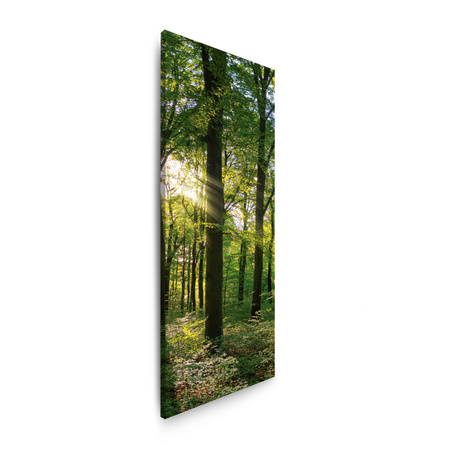 Canvas Print Sun Forest Trees Rays of Light 40x120 cm