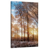 Canvas Print Trees Winter Rising Sun 70x120 cm