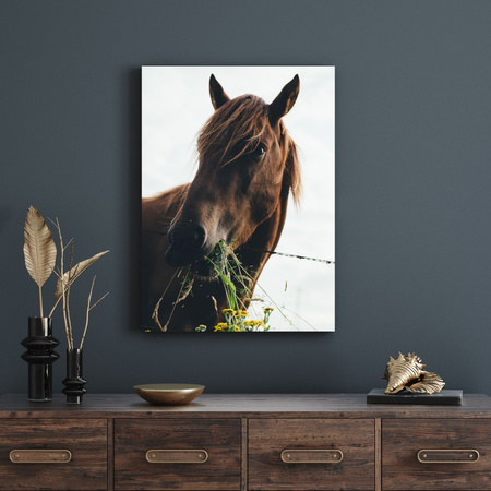 Canvas Print Animals Horse 30x40 cm