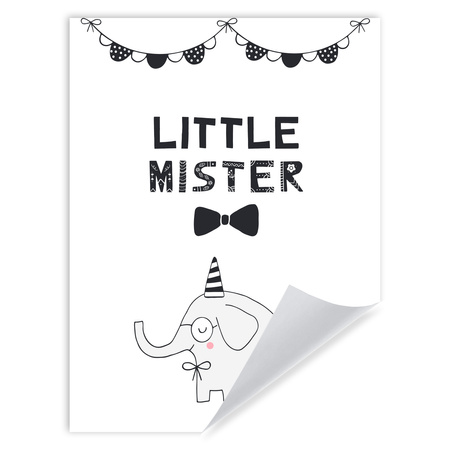 Little mister Birthday Poster 30X40 cm