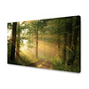 Canvas Print Sunlight Forest Path Nature 90x60 cm